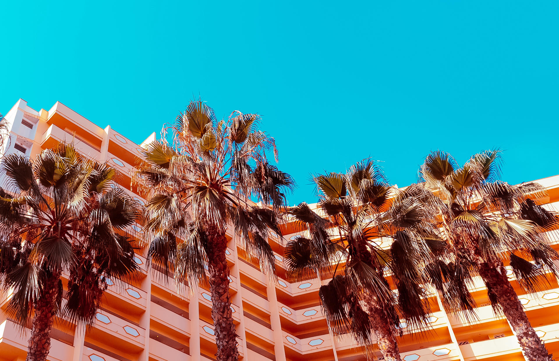 Palm trees stand in front of an orange hotel building.